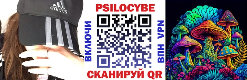 Галлюциногенные грибы Psilocybine cubensis  Шарыпово 